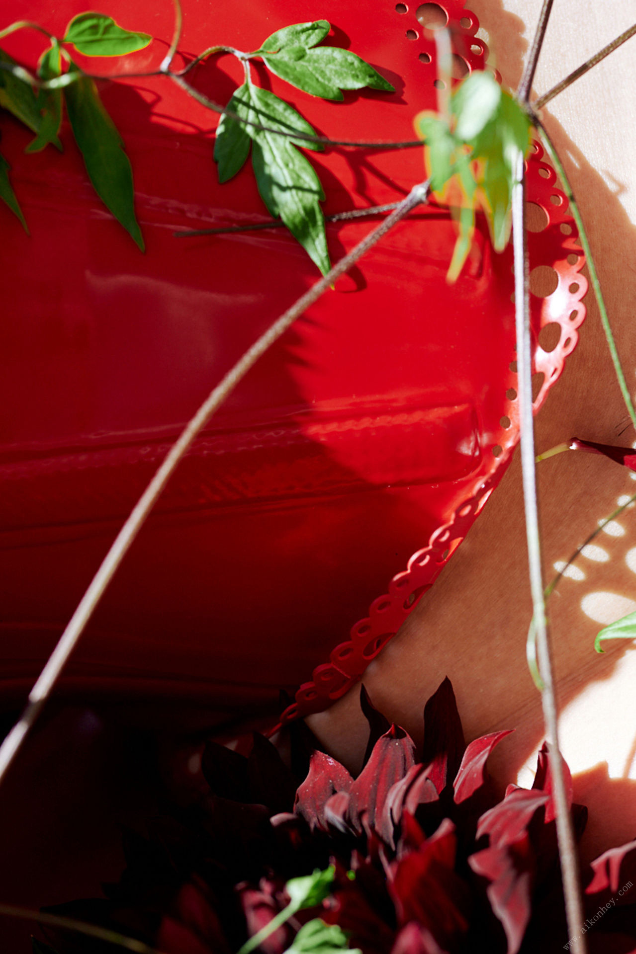 Ayaka Tomoda åç°å½©ä¹é¦, å¨åãã¹ããã¸ã¿ã«åçé ãè±å­ã