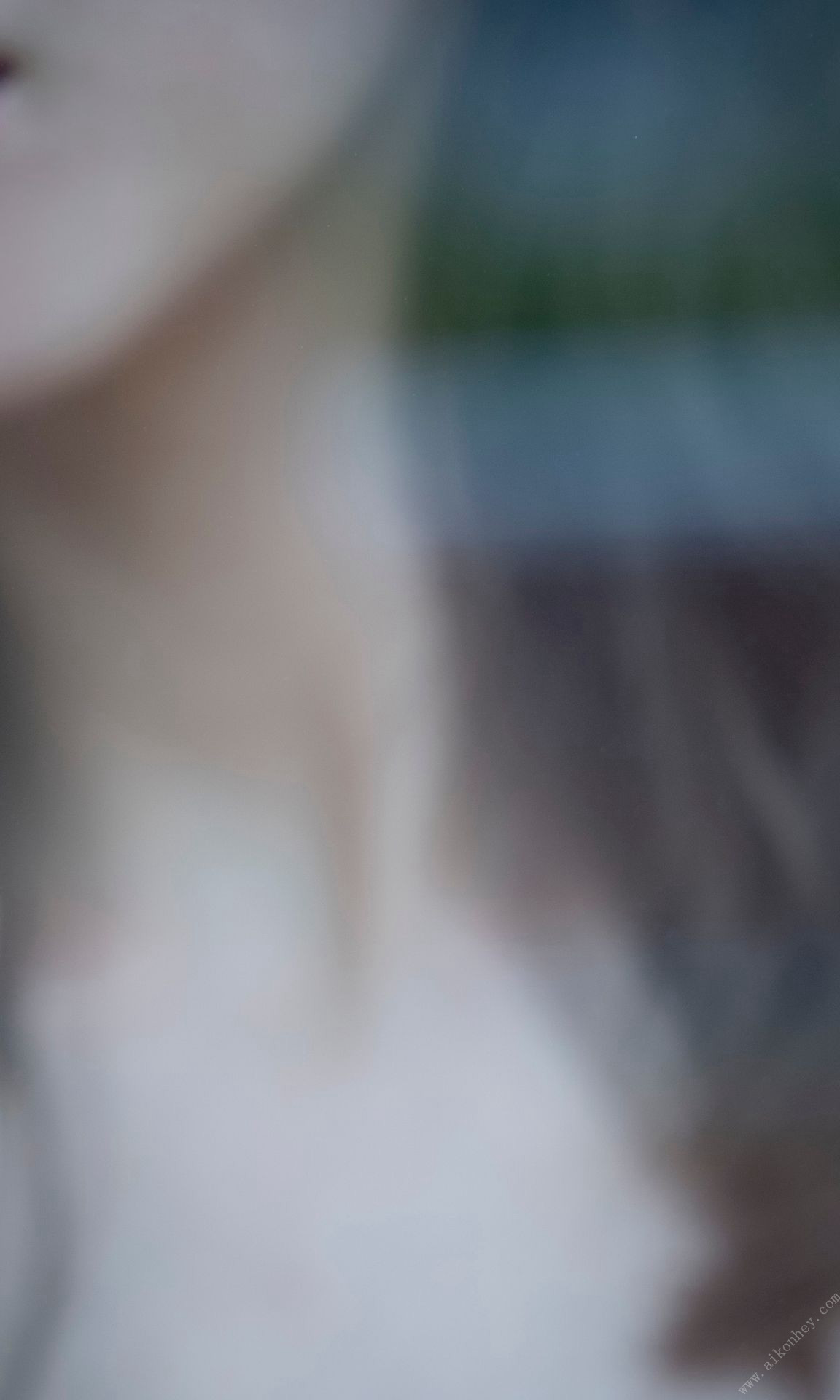 Ai Okawa å¤§å·è, å¨ãã¬ Photo Book ãããããå¥³ç¥ã Set.02